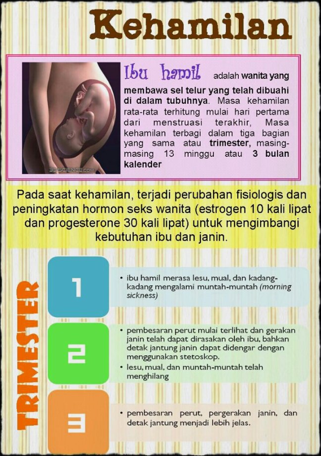 2-2_Perga-1.jpg image