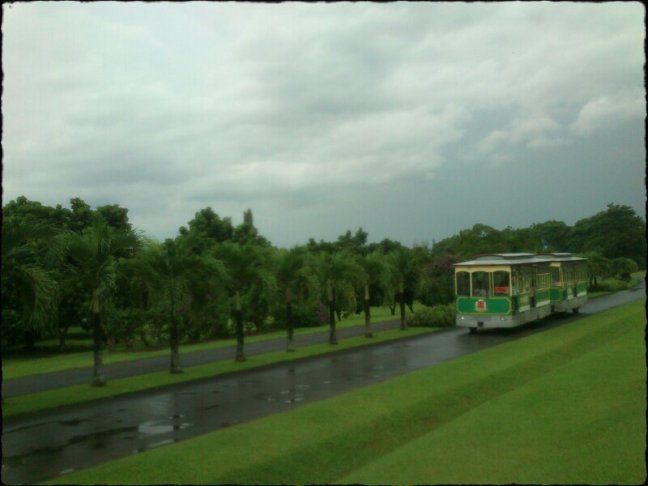 DSC_9789_Perga-1.jpg image