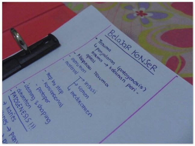 jnynita intro.jpg image