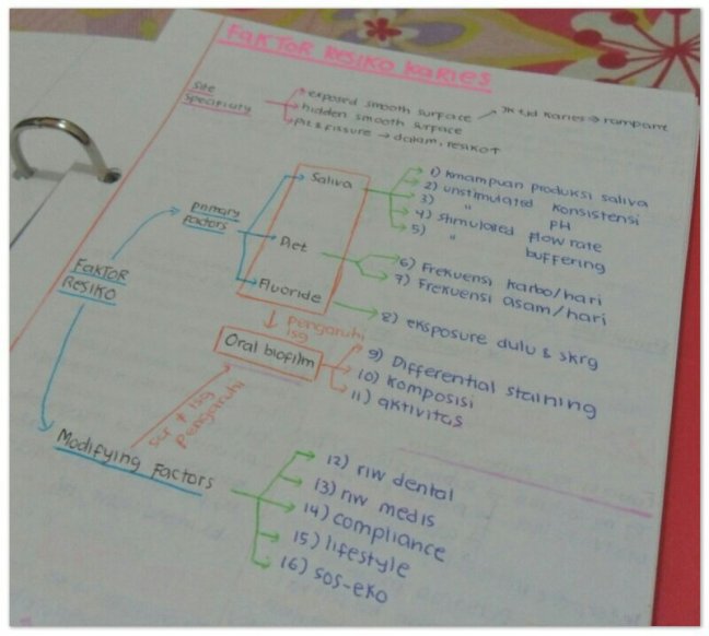 SAM_3395-1_Soft-1.jpg image