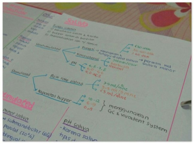 SAM_3396-1-1_Soft-1.jpg image