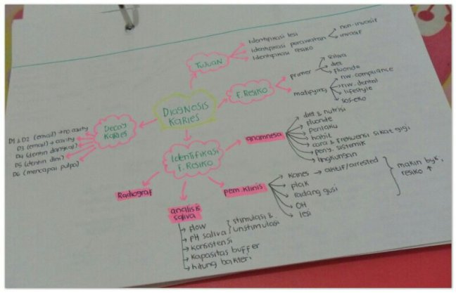 SAM_3400-1_Soft-1.jpg image