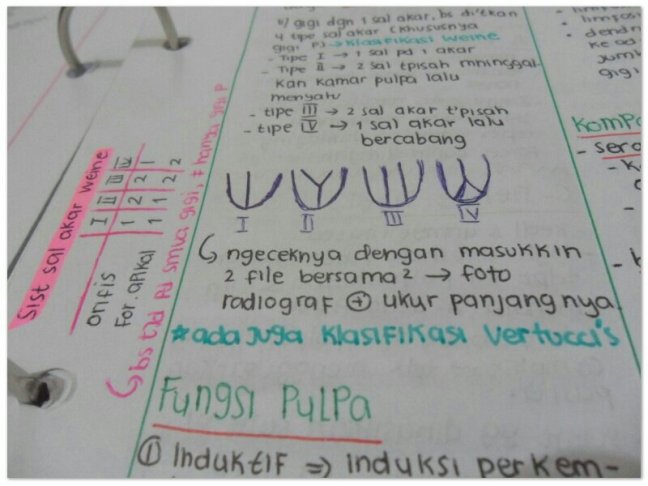 SAM_3404_Soft-1.jpg image