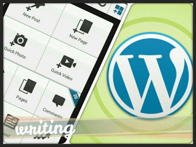 IMG_20130310_085003~01.jpg image