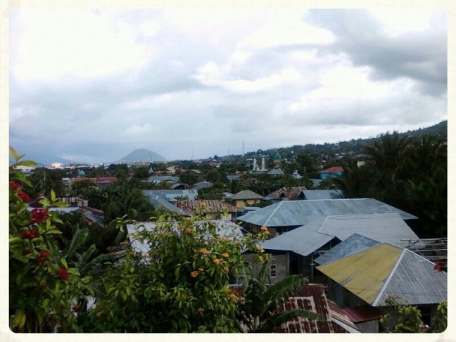 IMG_20130616_091609~01.jpg image