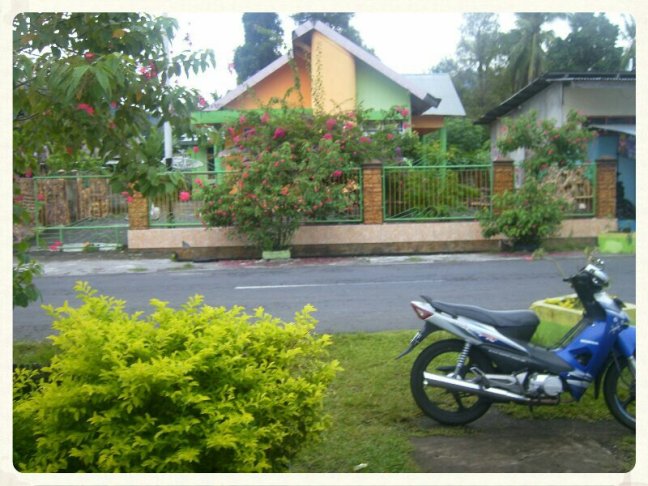 IMG_20130619_011357~01.jpg image