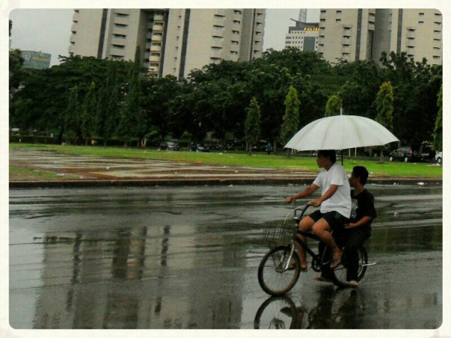 IMG_20130628_121718~01.jpg image