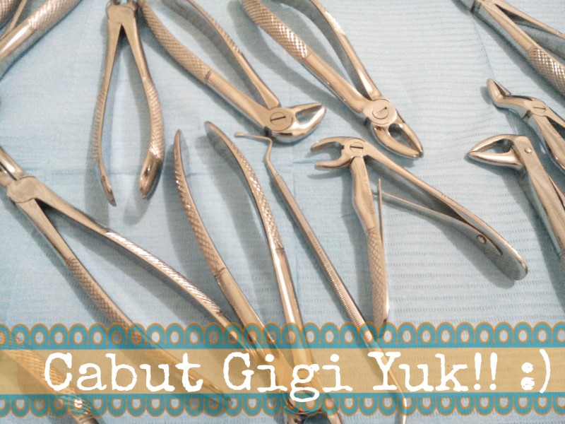 wpid-tang-cabut.jpeg image