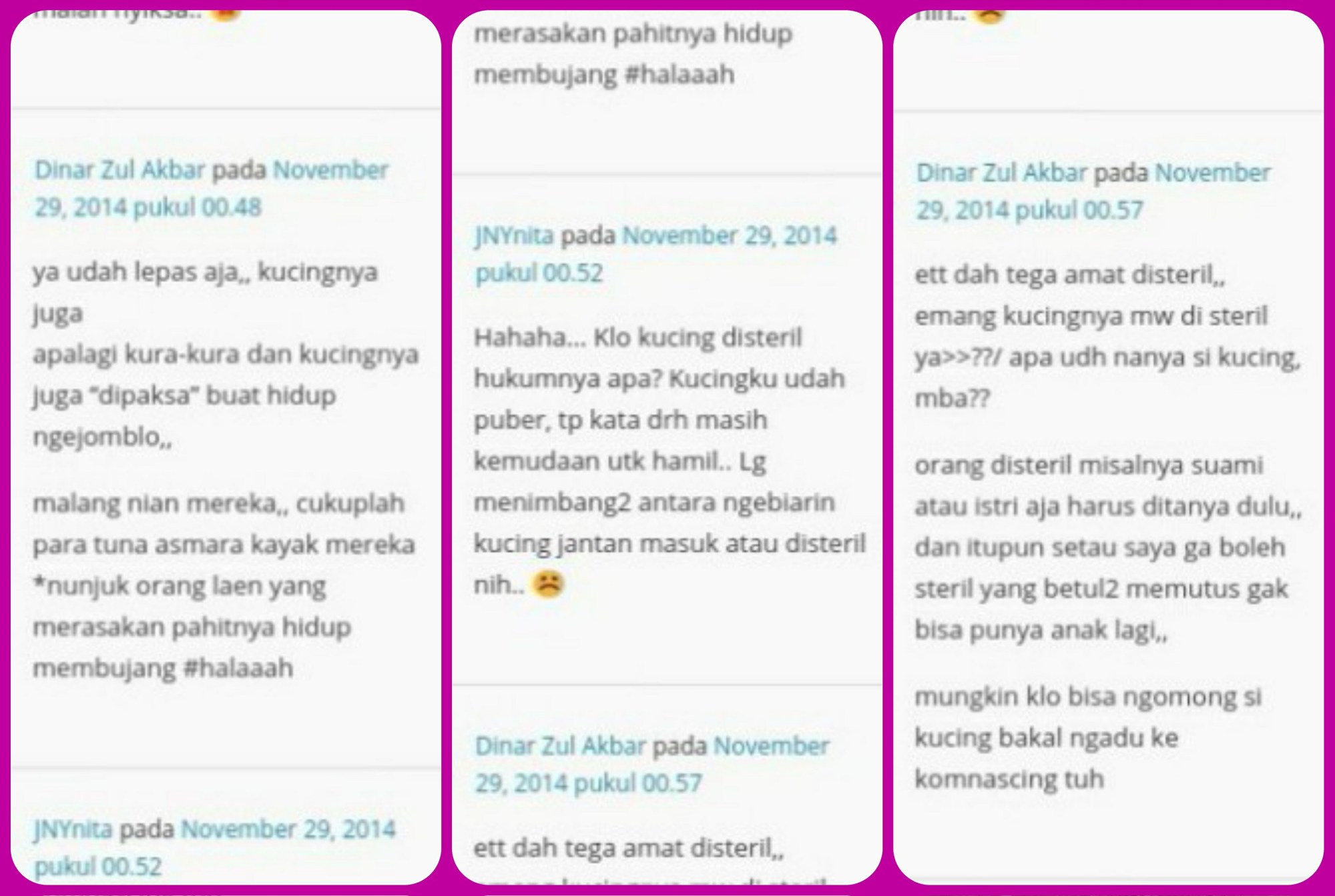 wpid-collage01.jpg.jpeg image