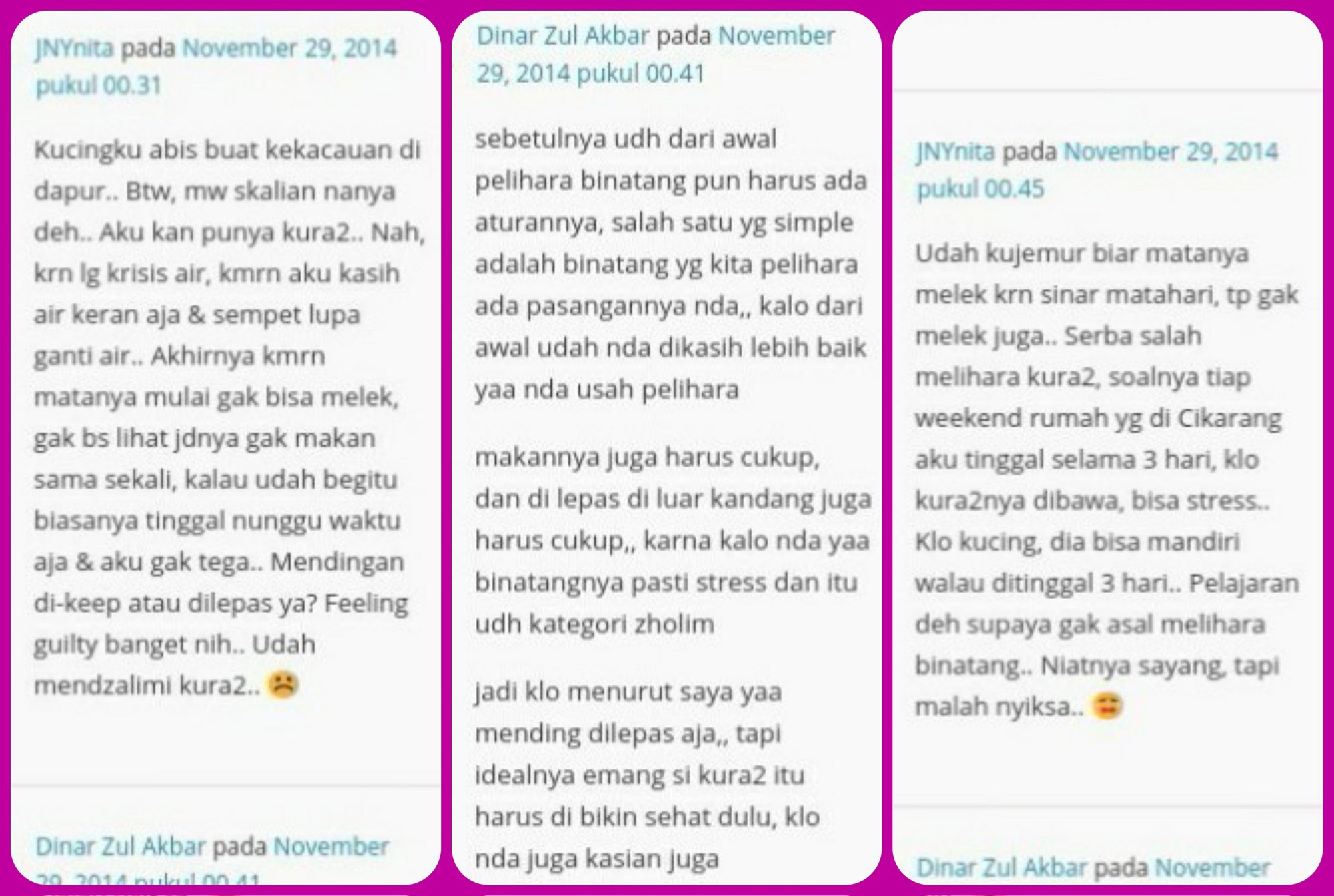 wpid-collage02.jpg.jpeg image