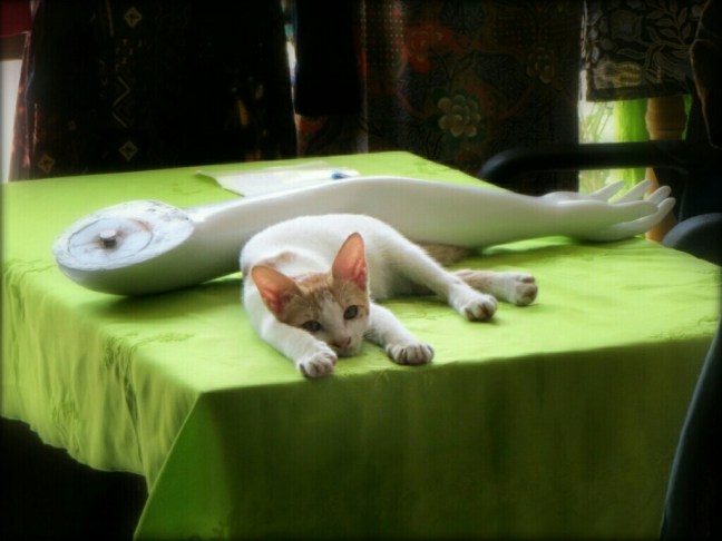 IMG_2933_2~01.jpg image