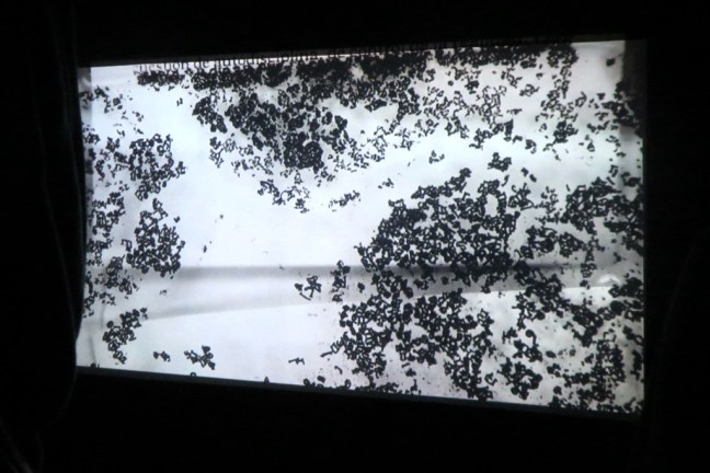 distopia-oscar-munoz